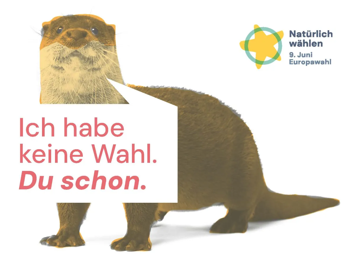 Europawahl Postkarte: Ich habe keine Wahl. Du schon.